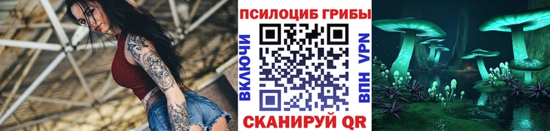 Купить  Калач  Галлюциногенные грибы Psilocybine cubensis 