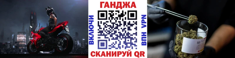 Конопля сатива Калач